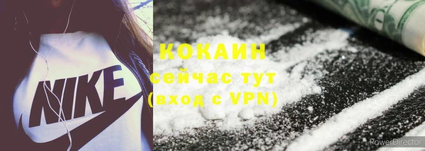 стаф Аркадак