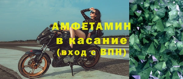стаф Аркадак