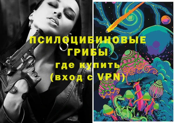 стаф Аркадак