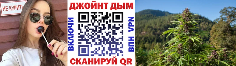 Бошки Шишки семена  Купить закладки  Благодарный 